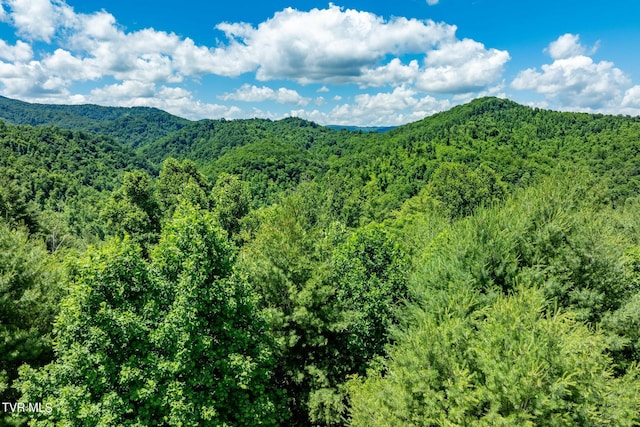 LOT45 Eagle Ridge Parkway, Butler, TN 37640 - photo 15