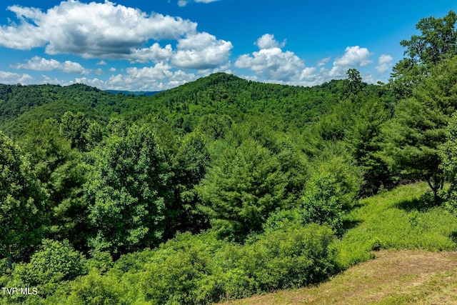 LOT45 Eagle Ridge Parkway, Butler, TN 37640 - photo 16