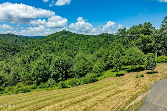 LOT45 Eagle Ridge Parkway, Butler, TN 37640 - photo 17