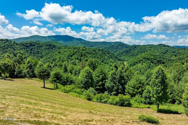 LOT45 Eagle Ridge Parkway, Butler, TN 37640 - photo 3