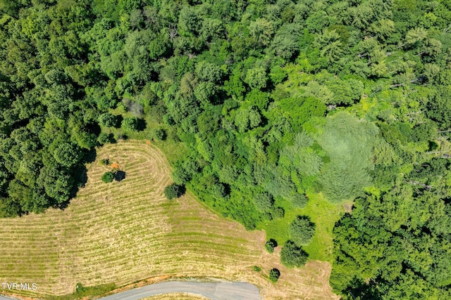 LOT45 Eagle Ridge Parkway, Butler, TN 37640 - photo 19