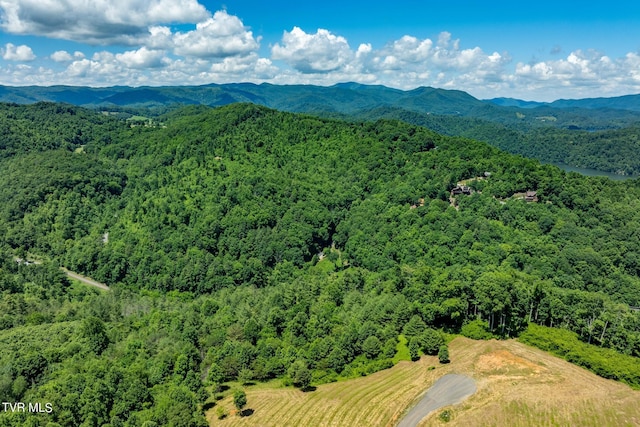 LOT45 Eagle Ridge Parkway, Butler, TN 37640 - photo 20