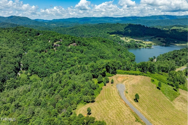 LOT45 Eagle Ridge Parkway, Butler, TN 37640 - photo 21