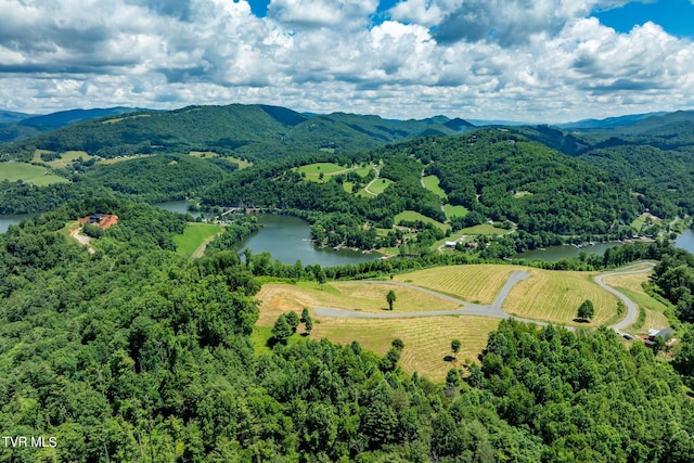 LOT45 Eagle Ridge Parkway, Butler, TN 37640 - photo 22