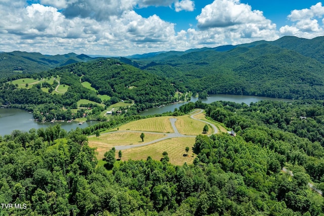 LOT45 Eagle Ridge Parkway, Butler, TN 37640 - photo 23