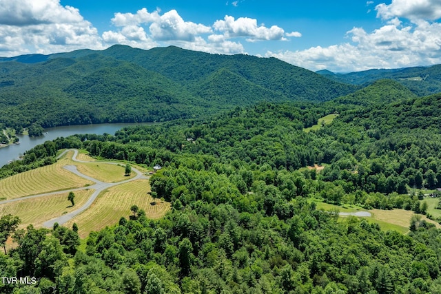 LOT45 Eagle Ridge Parkway, Butler, TN 37640 - photo 24