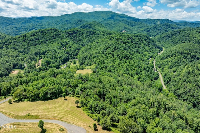 LOT45 Eagle Ridge Parkway, Butler, TN 37640 - photo 25