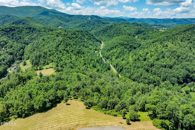 LOT45 Eagle Ridge Parkway, Butler, TN 37640 - photo 26