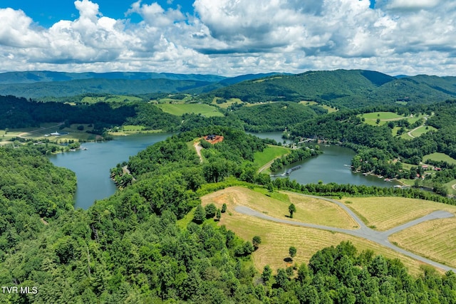 LOT45 Eagle Ridge Parkway, Butler, TN 37640 - photo 27