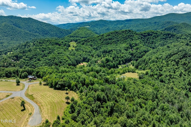LOT45 Eagle Ridge Parkway, Butler, TN 37640 - photo 28