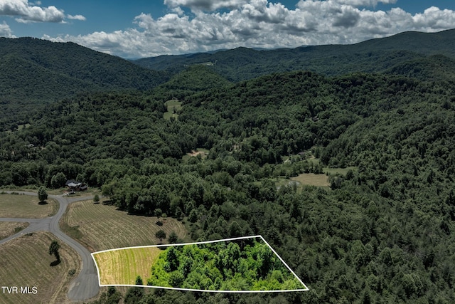 LOT45 Eagle Ridge Parkway, Butler, TN 37640 - photo 6