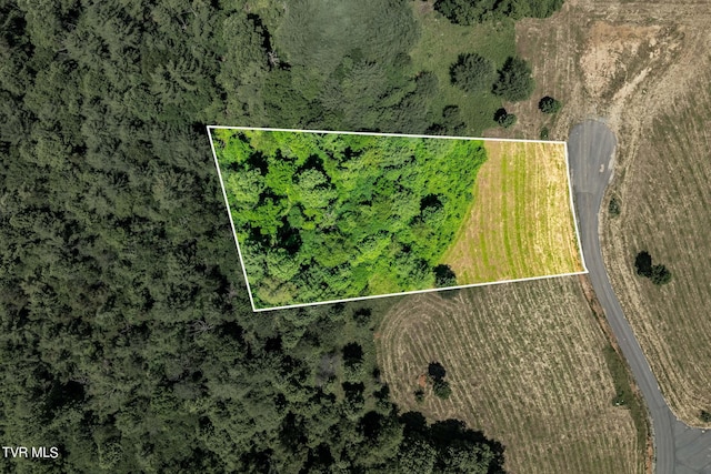 LOT45 Eagle Ridge Parkway, Butler, TN 37640 - photo 5