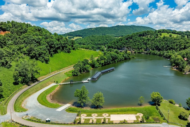 LOT45 Eagle Ridge Parkway, Butler, TN 37640 - photo 30