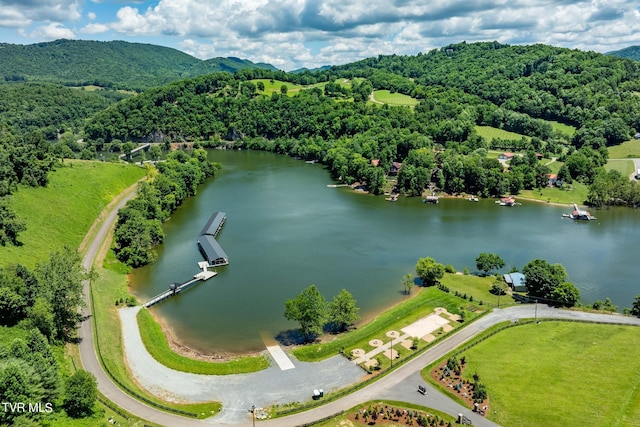 LOT45 Eagle Ridge Parkway, Butler, TN 37640 - photo 31