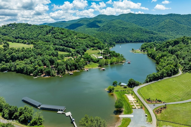 LOT45 Eagle Ridge Parkway, Butler, TN 37640 - photo 32