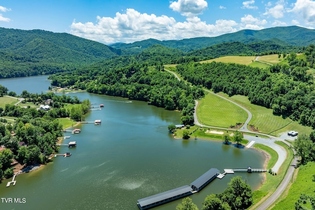 LOT45 Eagle Ridge Parkway, Butler, TN 37640 - photo 33