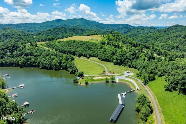 LOT45 Eagle Ridge Parkway, Butler, TN 37640 - photo 34
