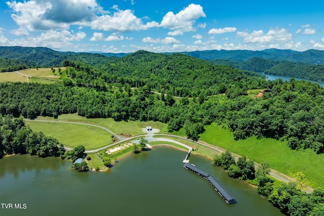 LOT45 Eagle Ridge Parkway, Butler, TN 37640 - photo 35