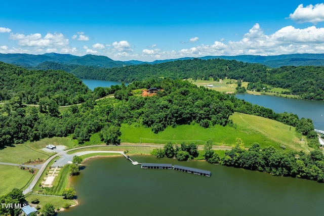 LOT45 Eagle Ridge Parkway, Butler, TN 37640 - photo 36