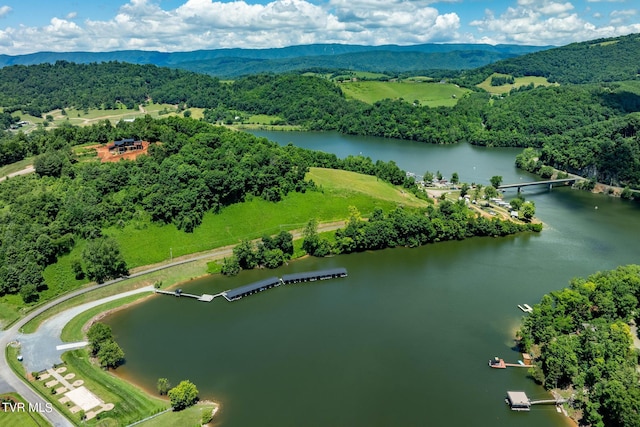 LOT45 Eagle Ridge Parkway, Butler, TN 37640 - photo 37