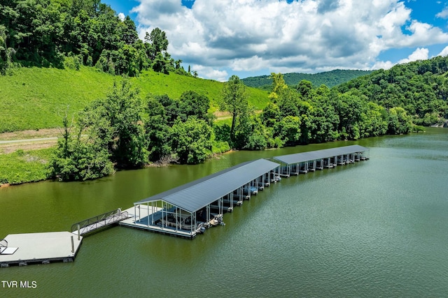 LOT45 Eagle Ridge Parkway, Butler, TN 37640 - photo 38