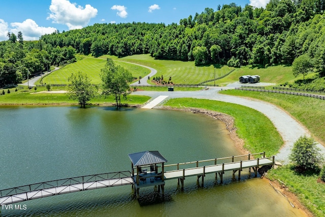 LOT45 Eagle Ridge Parkway, Butler, TN 37640 - photo 40