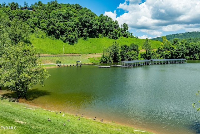 LOT45 Eagle Ridge Parkway, Butler, TN 37640 - photo 44