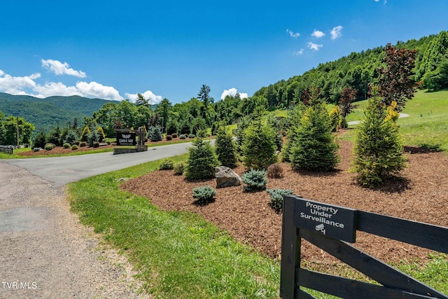 LOT45 Eagle Ridge Parkway, Butler, TN 37640 - photo 45
