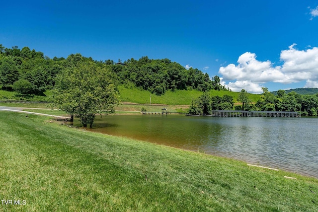 LOT45 Eagle Ridge Parkway, Butler, TN 37640 - photo 57