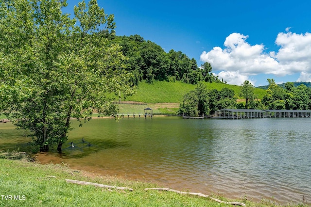 LOT45 Eagle Ridge Parkway, Butler, TN 37640 - photo 58