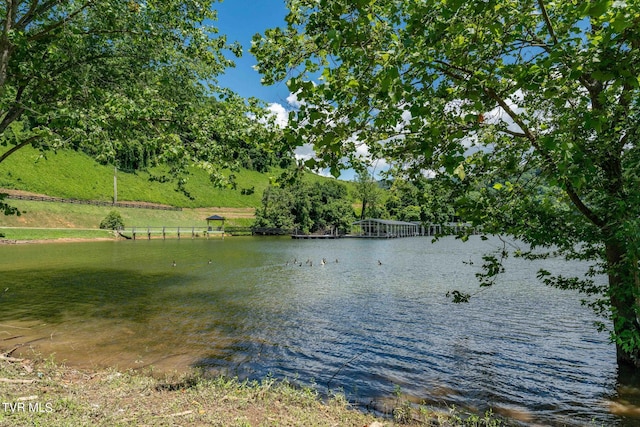 LOT45 Eagle Ridge Parkway, Butler, TN 37640 - photo 59