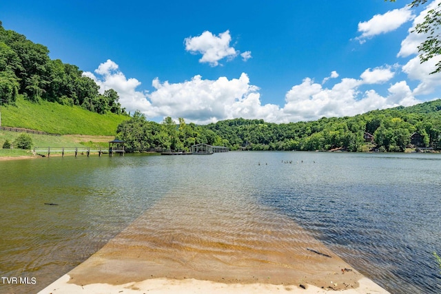 LOT45 Eagle Ridge Parkway, Butler, TN 37640 - photo 60