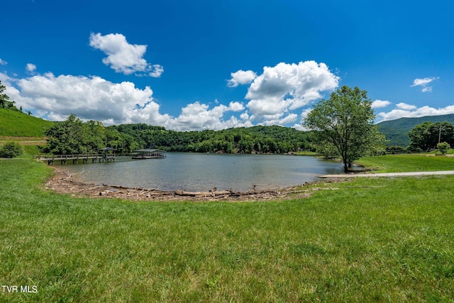 LOT45 Eagle Ridge Parkway, Butler, TN 37640 - photo 61