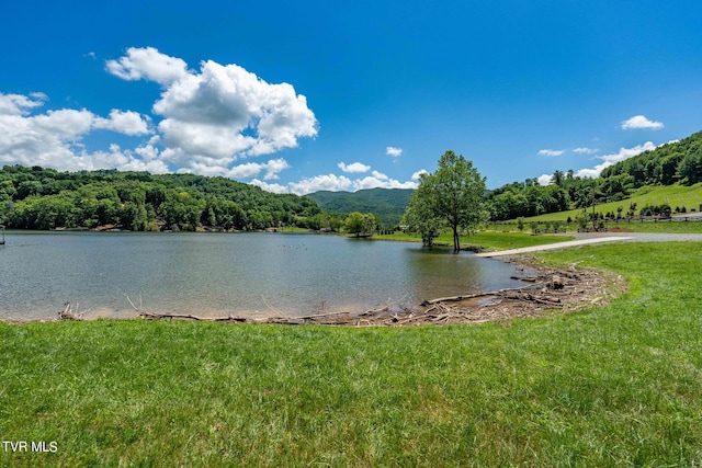 LOT45 Eagle Ridge Parkway, Butler, TN 37640 - photo 62