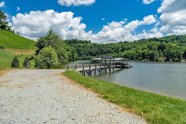 LOT45 Eagle Ridge Parkway, Butler, TN 37640 - photo 63