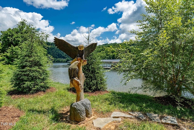 LOT45 Eagle Ridge Parkway, Butler, TN 37640 - photo 64