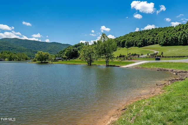 LOT45 Eagle Ridge Parkway, Butler, TN 37640 - photo 65