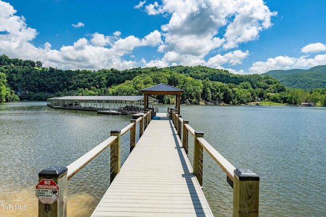LOT45 Eagle Ridge Parkway, Butler, TN 37640 - photo 66