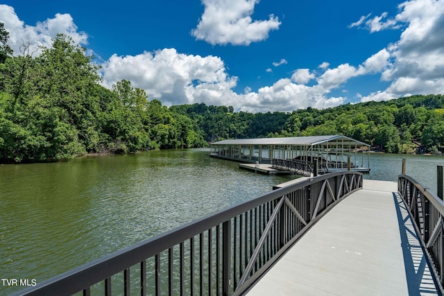 LOT45 Eagle Ridge Parkway, Butler, TN 37640 - photo 68