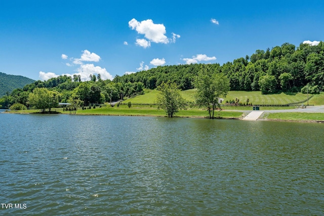 LOT45 Eagle Ridge Parkway, Butler, TN 37640 - photo 69