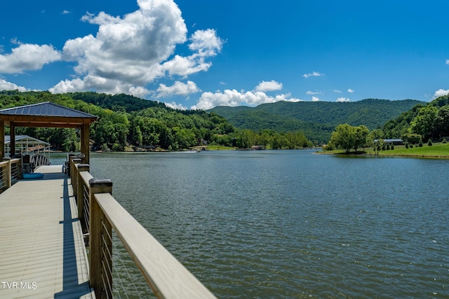 LOT45 Eagle Ridge Parkway, Butler, TN 37640 - photo 73