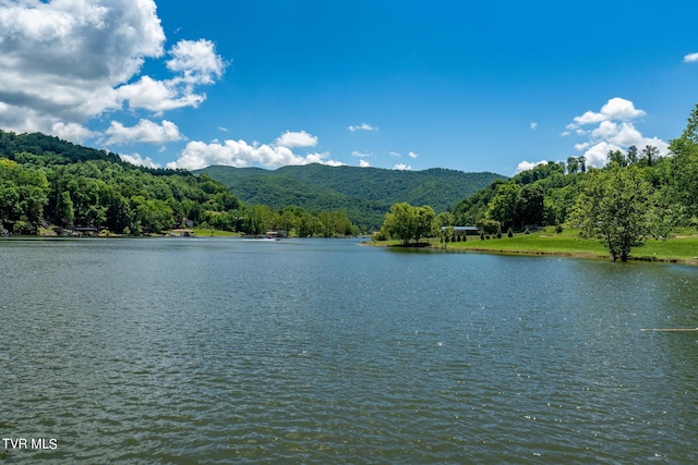 LOT45 Eagle Ridge Parkway, Butler, TN 37640 - photo 74