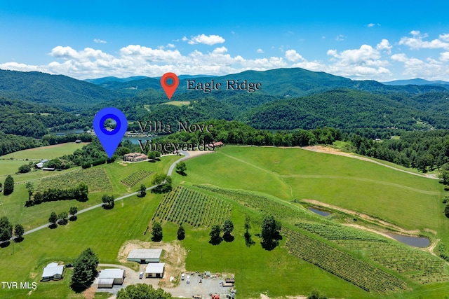 LOT45 Eagle Ridge Parkway, Butler, TN 37640 - photo 75