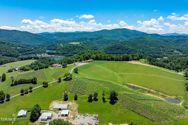 LOT45 Eagle Ridge Parkway, Butler, TN 37640 - photo 76