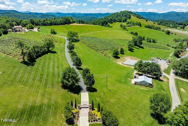 LOT45 Eagle Ridge Parkway, Butler, TN 37640 - photo 77