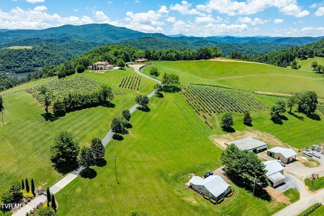 LOT45 Eagle Ridge Parkway, Butler, TN 37640 - photo 78