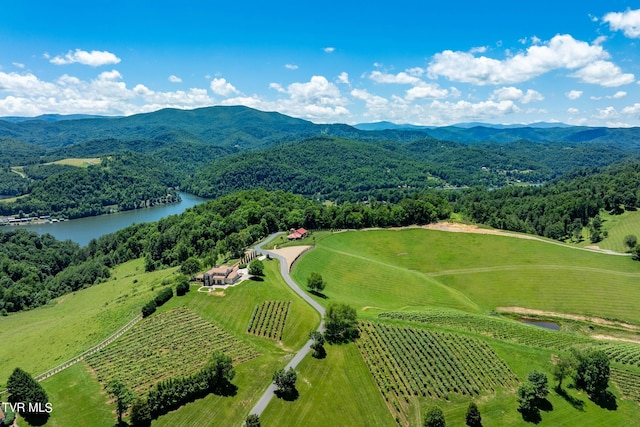 LOT45 Eagle Ridge Parkway, Butler, TN 37640 - photo 79