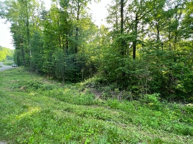 00 Sink Valley Rd, Butler TN, 37640 land for sale