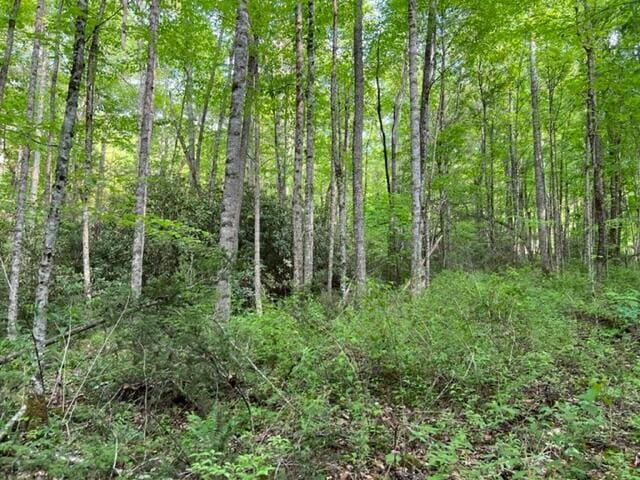 00 Sink Valley Rd, Butler, TN 37640 - photo 2