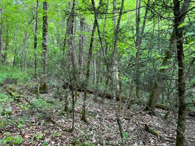 00 Sink Valley Rd, Butler, TN 37640 - photo 3